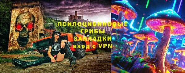 дмт Надым