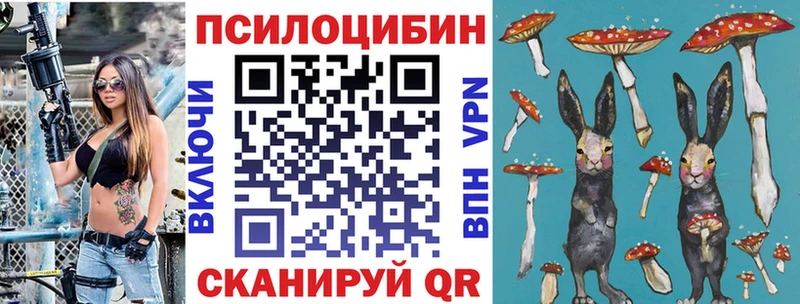 купить  цена  Игарка  OMG ссылка  Псилоцибиновые грибы Magic Shrooms 