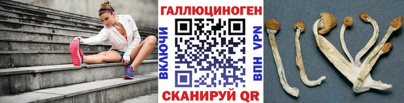Псилоцибиновые грибы GOLDEN TEACHER Игарка